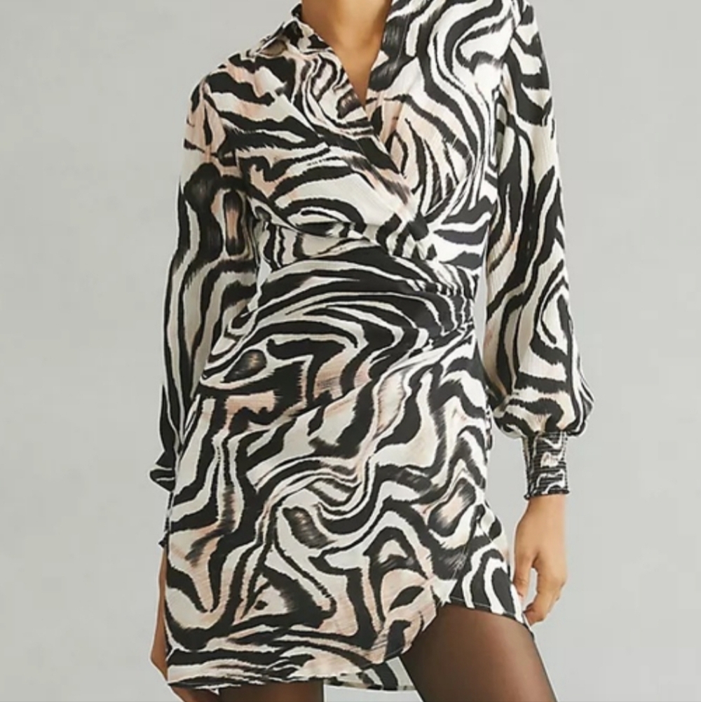 Stylish Black and White Zebra Print Dress